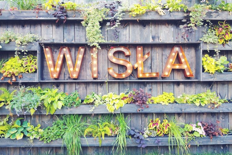 co robić w Warszawie latem w wakacje